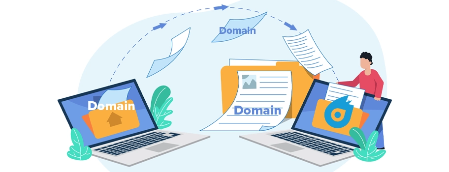 The Domain Transfer Process:<br/>Transferring Your Domain to Dynadot