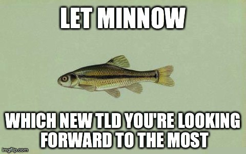 Let Minnow Which New TLD You're Looking Forward to the Most - Let Minnow Meme