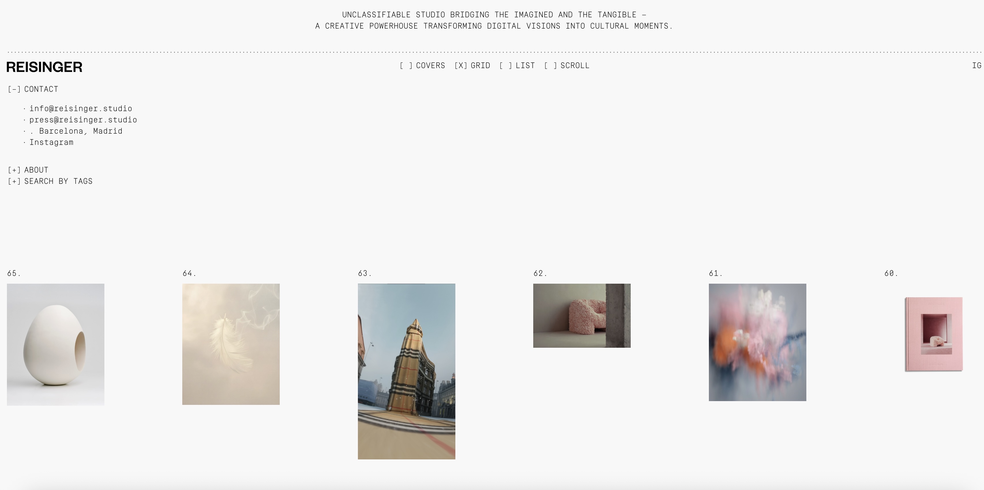 A screenshot showing a website reisinger.studio page design and domain name choice