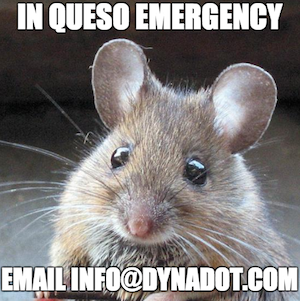In Queso Emergency Mouse Meme - Dynadot Customer Service Team Info