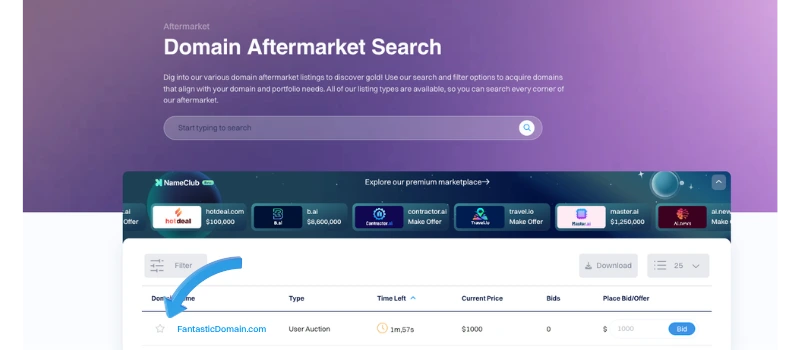 “Screenshot of a domain registrar’s ‘Domain Aftermarket Search’ page with a search bar at the top and a list of premium domains below, including pricing and bidding options. A blue arrow points to a specific domain listing.”