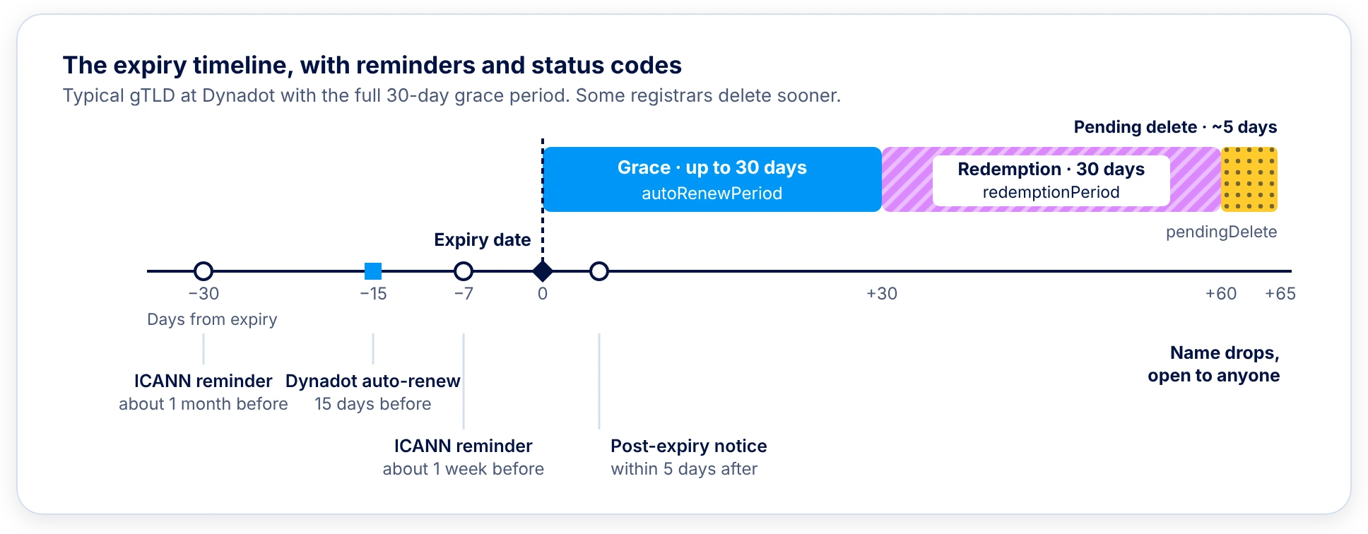 A timeline showing reminders and Dynadot auto-renew before expiry, then up to 30 days of grace, 30 days of redemption and about 5 days of pending delete, so a typical gTLD drops roughly 65 days after expiry.