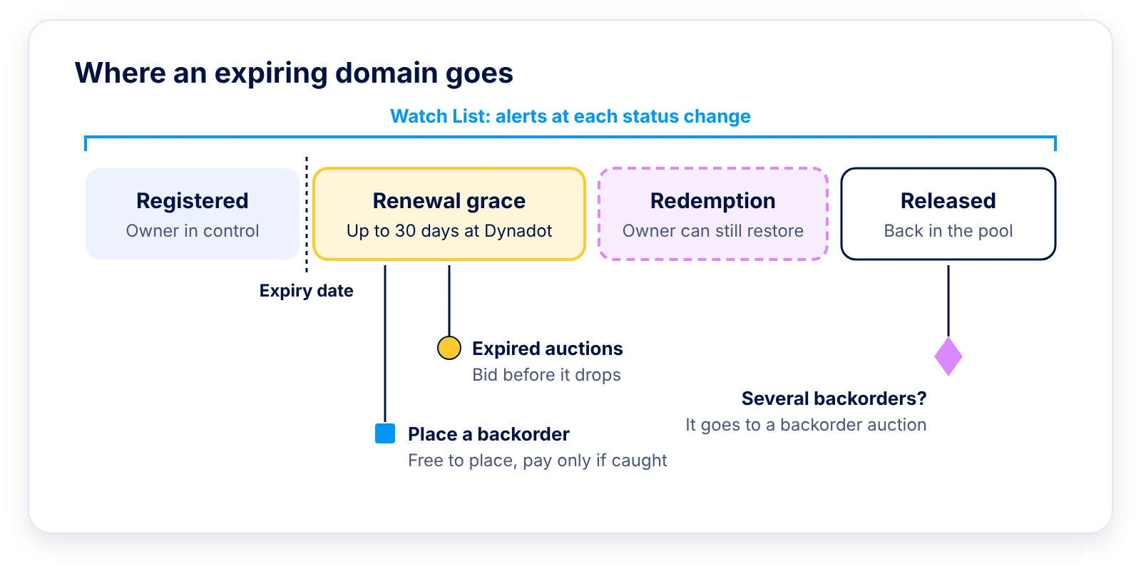 Lifecycle strip running from registered through a renewal grace period of up to 30 days at Dynadot, then redemption, then release, showing that the Watch List covers every stage, expired auctions and backorders sit in the grace period, and several backorders lead to a backorder auction.
