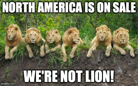 North America is on Sale! We're Not Lion! - Sunday Punday .CA, .US, & .MX Sale