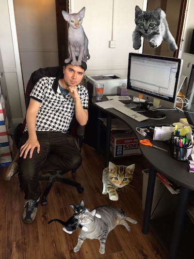 Cat Friendly Office - April Fools Day Joke