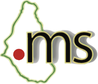 .MS Domain Logo