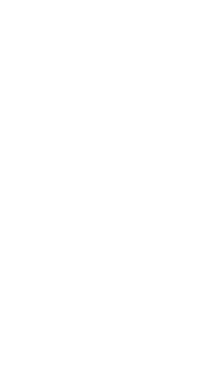 decoration_piece_left